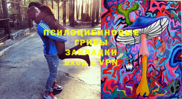 ГАЛЛЮЦИНОГЕННЫЕ ГРИБЫ Михайловск