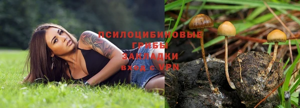 apvp Медвежьегорск