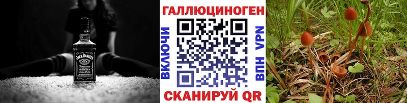 Галлюциногенные грибы MAGIC MUSHROOMS  Петровск-Забайкальский 